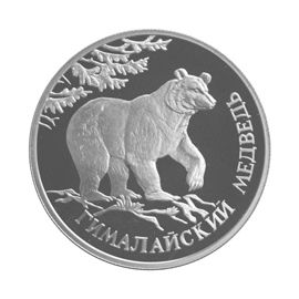 Монета Памятные и инвестиционные монеты России 1 рубль 1994 Серебро Россия - изображение 49