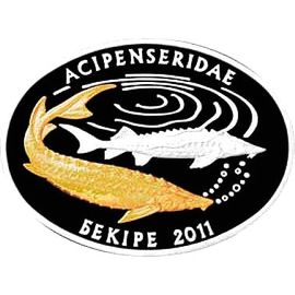 Монета СНГ 500 тенге 2011 Серебро Казахстан - изображение 49