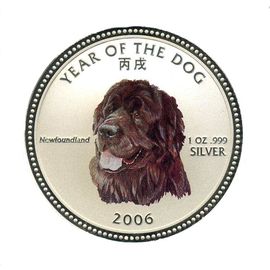 Собака Ньюфаундленд - изображение 41