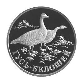 Монета Памятные и инвестиционные монеты России 1 рубль 1998 Серебро Россия - изображение 49