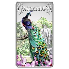 Водолей - изображение 43