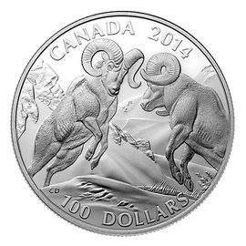 Битва горных баранов - изображение 73