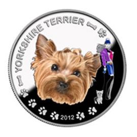 Йоркширский терьер - изображение 58