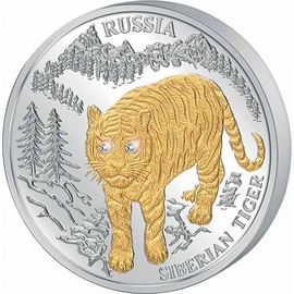 Сибирский тигр - изображение 58