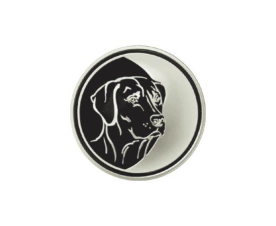 Монета Год Собаки 3 рубля 2006 Серебро Россия - изображение 64 Монета Год Собаки 3 рубля 2006 Серебро Россия - изображение 64