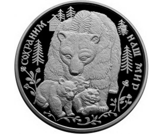 Монета Памятные и инвестиционные монеты России 100 рублей 1995 Серебро Россия - изображение 49