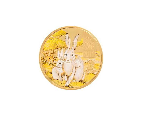 Год Кролика - изображение 52