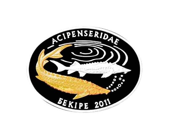 Монета СНГ 500 тенге 2011 Серебро Казахстан - изображение 49 Монета СНГ 500 тенге 2011 Серебро Казахстан - изображение 49