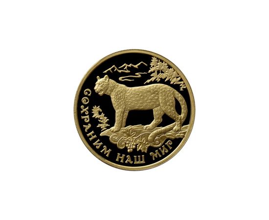 Монета Памятные и инвестиционные монеты России 100 рублей 2011 Золото Россия - изображение 49