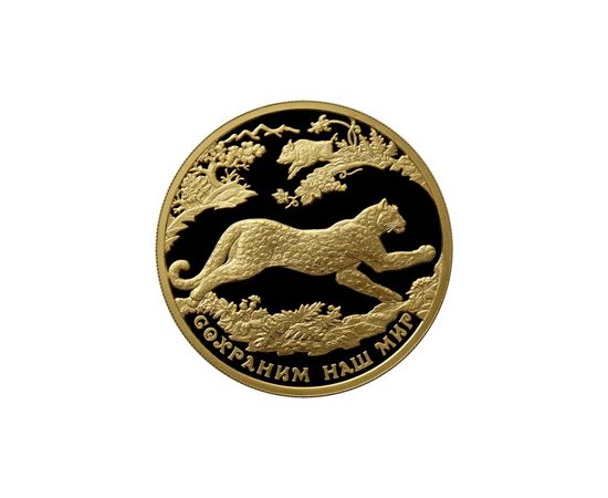 Монета Памятные и инвестиционные монеты России 200 рублей 2011 Золото Россия - изображение 49