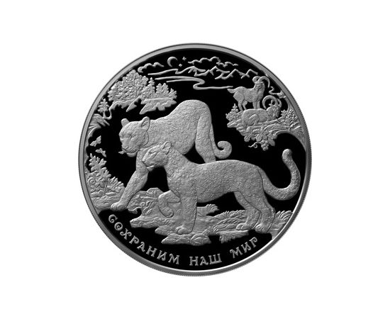 Монета Памятные и инвестиционные монеты России 100 рублей 2011 Серебро Россия - изображение 49 Монета Памятные и инвестиционные монеты России 100 рублей 2011 Серебро Россия - изображение 49