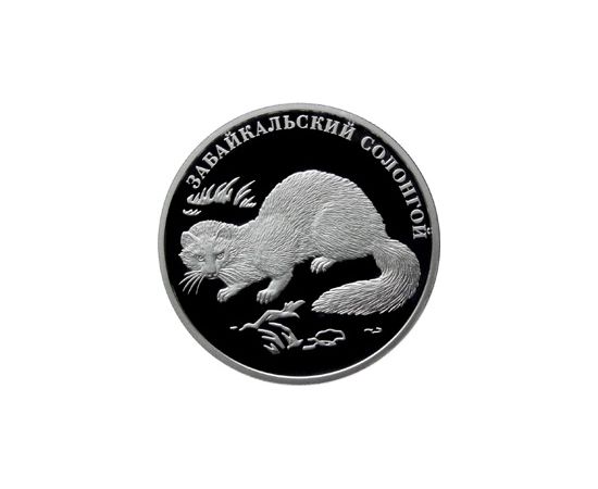 Монета Наборы монет России 2 рубля 2012 Серебро Россия - изображение 81