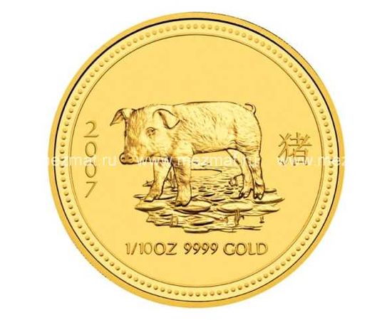 Год Свиньи - изображение 37