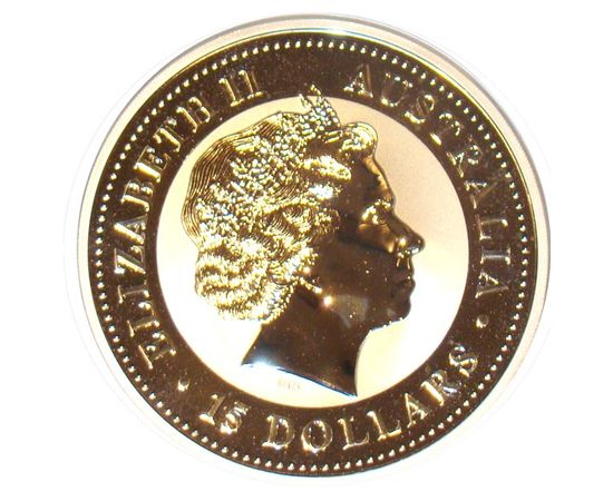 Год Обезьяны - изображение 56