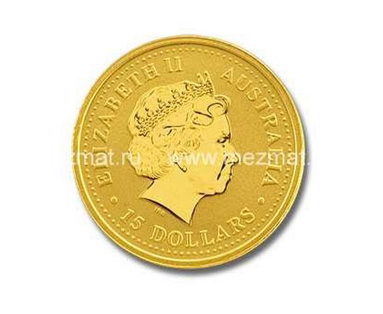 Год Собаки - изображение 56 Год Собаки - изображение 56