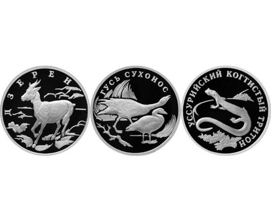 Монета Наборы монет России 1 рубль 2006 Серебро Россия - изображение 49 Монета Наборы монет России 1 рубль 2006 Серебро Россия - изображение 49