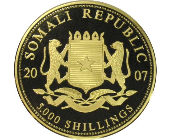 Монета Монеты иностранных государств 5000 шиллингов 2007 Золото Сомали - изображение 46