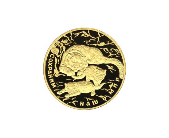 Монета Памятные и инвестиционные монеты России 10000 рублей 2000 Золото Россия - изображение 49
