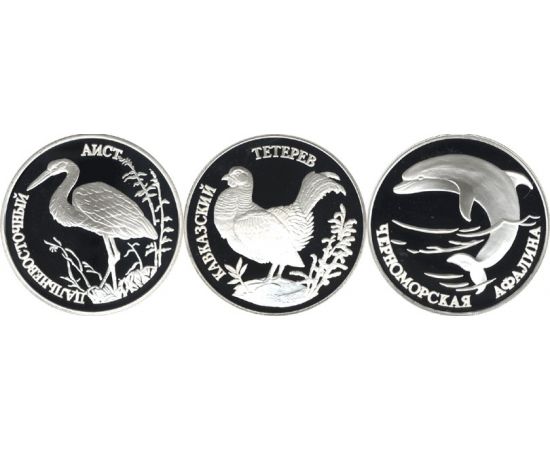 Монета Наборы монет России 1 рубль 1995 Серебро Россия - изображение 49 Монета Наборы монет России 1 рубль 1995 Серебро Россия - изображение 49