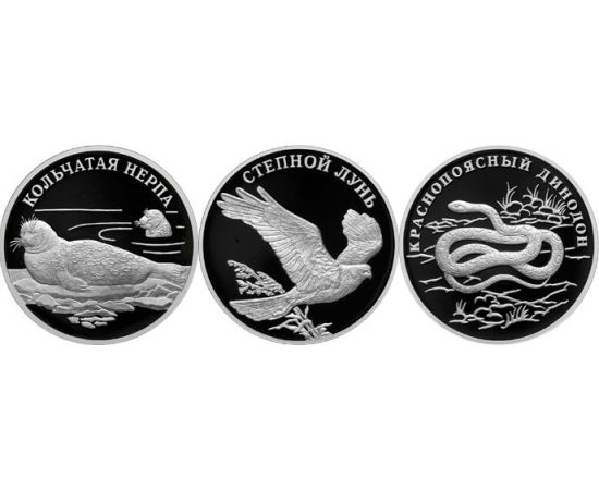 Монета Наборы монет России 1 рубль 2007 Серебро Россия - изображение 49 Монета Наборы монет России 1 рубль 2007 Серебро Россия - изображение 49