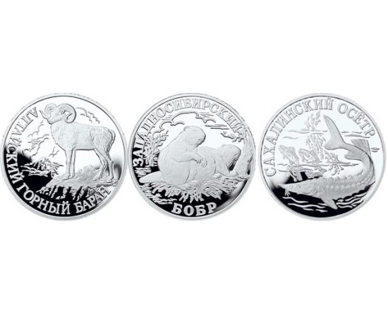 Монета Наборы монет России 1 рубль 2001 Серебро Россия - изображение 49 Монета Наборы монет России 1 рубль 2001 Серебро Россия - изображение 49