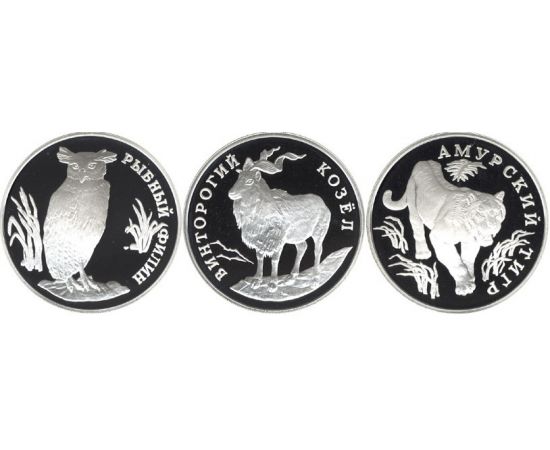 Монета Наборы монет России 1 рубль 1993 Серебро Россия - изображение 49 Монета Наборы монет России 1 рубль 1993 Серебро Россия - изображение 49