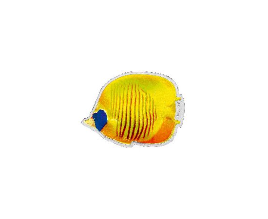 Монета Наборы монет иностранных государств 50 вату 2006 Серебро - изображение 84