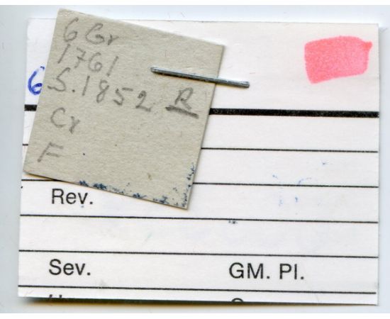 Монета Елизавета Петровна (1741-1762) 6 грошей 1761 Серебро Россия - изображение 38