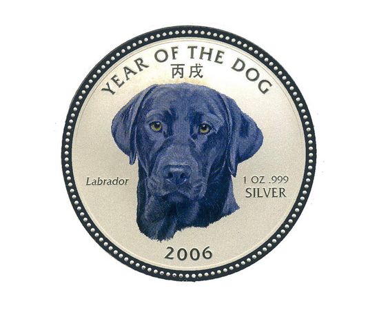 Год Собаки (Лабрадор) - изображение 61