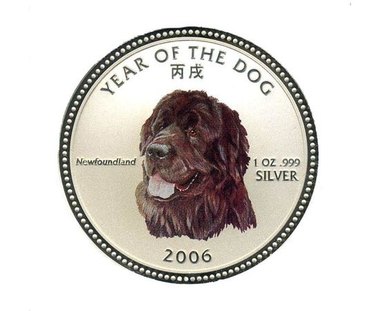 Собака Ньюфаундленд - изображение 41