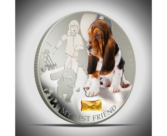 Собака Бассет Хаунд - изображение 81