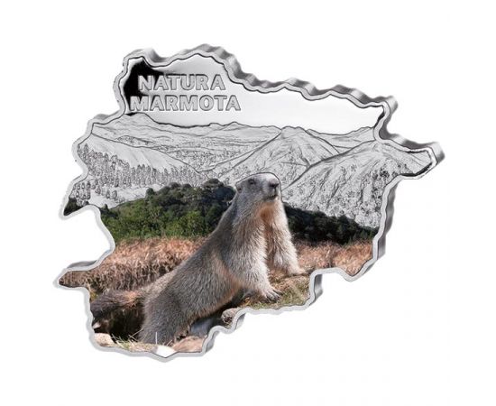 Монета Европа 10 динар 2013 Серебро Андорра - изображение 61