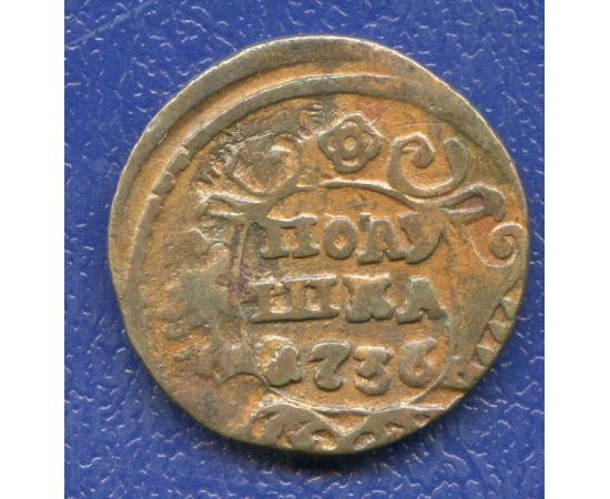 Монета Анна Иоанновна (1730-1740) полушка 1736 Медь Россия - изображение 49