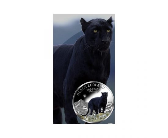 Монета Африка 1000 франков 2013 Серебро Конго - изображение 74