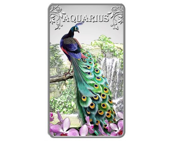 Водолей - изображение 43