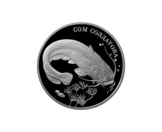 Монета Наборы монет России 2 рубля 2014 Серебро Россия - изображение 82