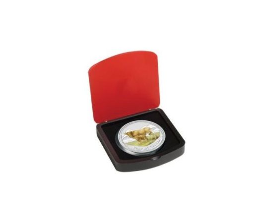 Год Быка - изображение 79