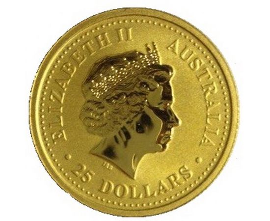 Год собаки - изображение 56