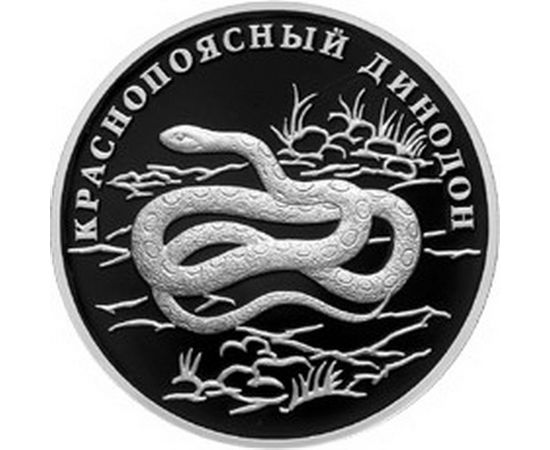 Монета Памятные и инвестиционные монеты России 1 рубль 2007 Серебро Россия - изображение 49