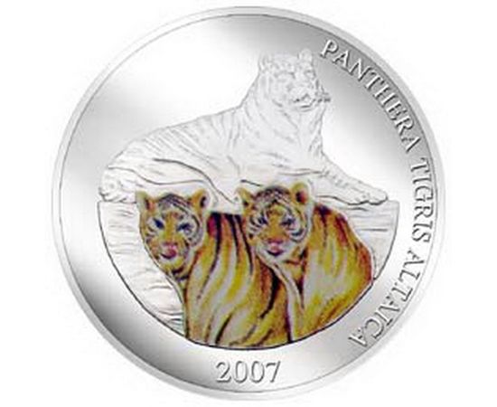 Тигры - изображение 58